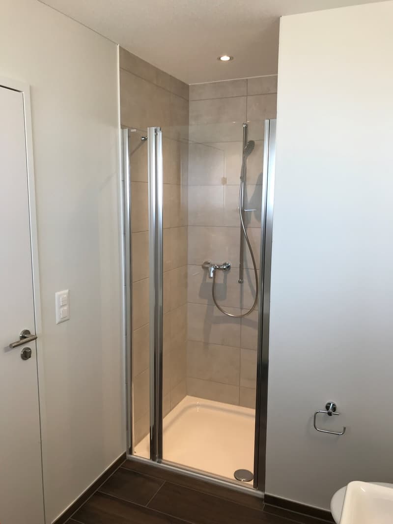 Bel appartement 2.5 pièces (9)
