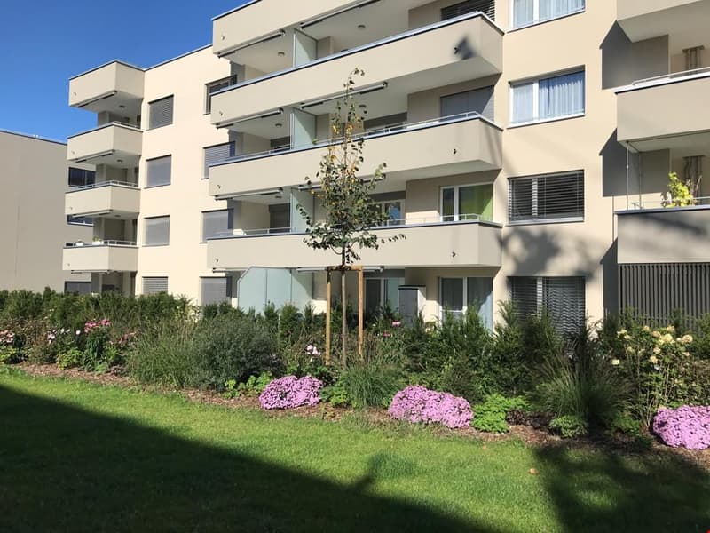 Bel appartement 2.5 pièces (1)