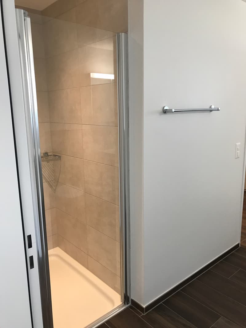 Bel appartement 2.5 pièces (12)