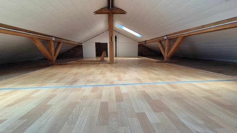 Maison familiale de 5,5 pièces avec beaucoup d'espace et jardin d'hiver à Klingnau (31)