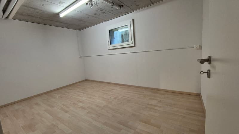 Maison familiale de 5,5 pièces avec beaucoup d'espace et jardin d'hiver à Klingnau (33)