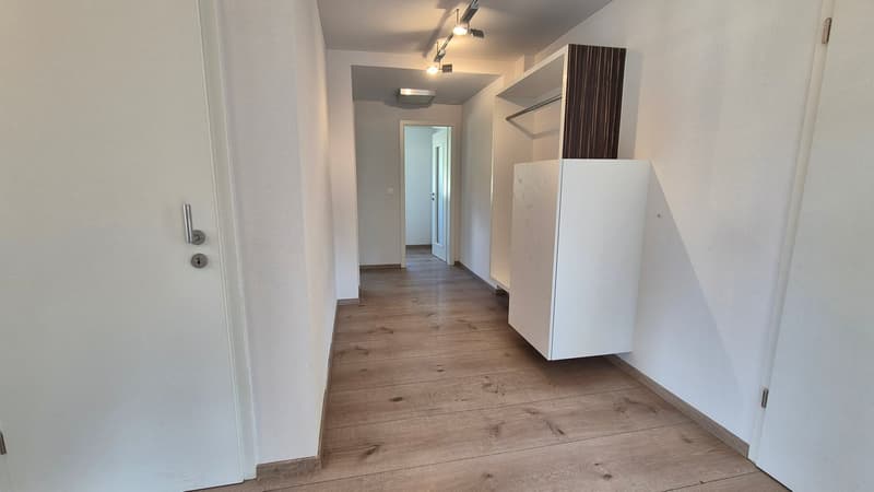 Maison familiale de 5,5 pièces avec beaucoup d'espace et jardin d'hiver à Klingnau (8)