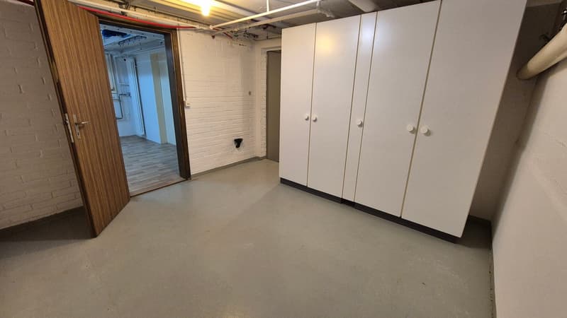 Maison familiale de 5,5 pièces avec beaucoup d'espace et jardin d'hiver à Klingnau (34)