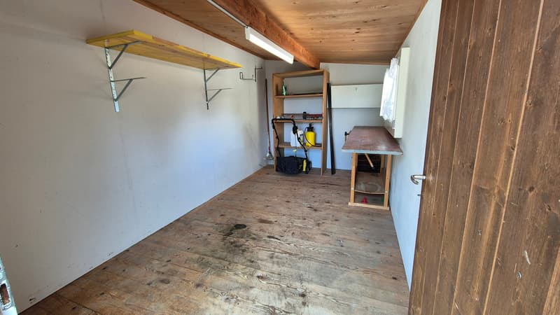 Maison familiale de 5,5 pièces avec beaucoup d'espace et jardin d'hiver à Klingnau (5)