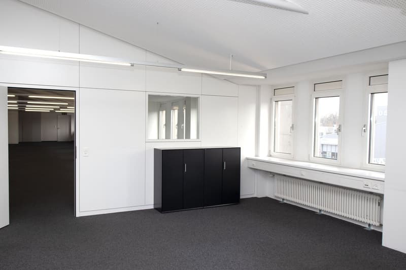 empty room, white walls, black floor, white ceiling, black cabinet, mirror, windows, radiator