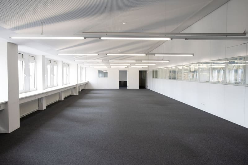 Empty room with white walls, gray carpet, windows, and overhead lighting.
