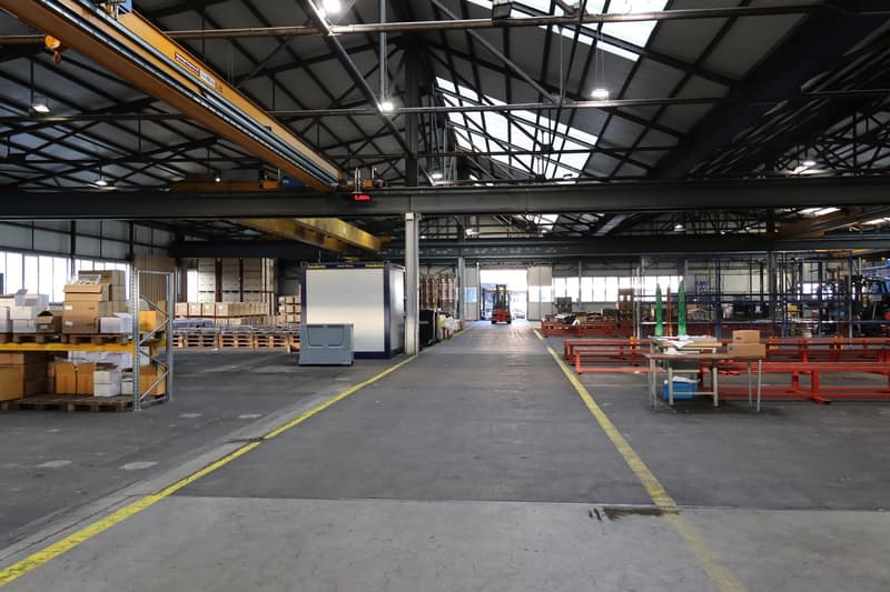 Empty large warehouse, high ceilings, metal structure, multiple rows of pallets, windows on the side, storage racks, yellow and red markings on the floor