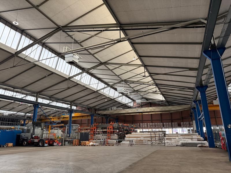 Produktions-/ Lagerfläche im Industriegebiet von Dietikon (4)