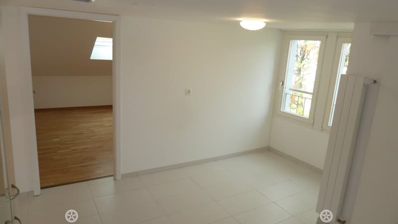 Empty room, white walls, white tiles, wooden floor, windows, ceiling light