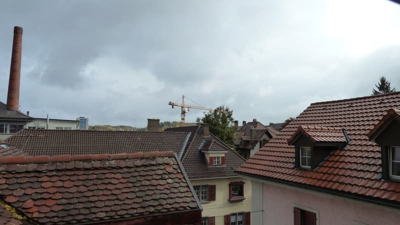 multiple buildings, brown roofs, chimneys, windows, crane in the background