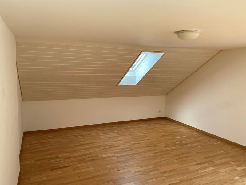 empty room, wooden floor, white walls, skylight, ceiling light