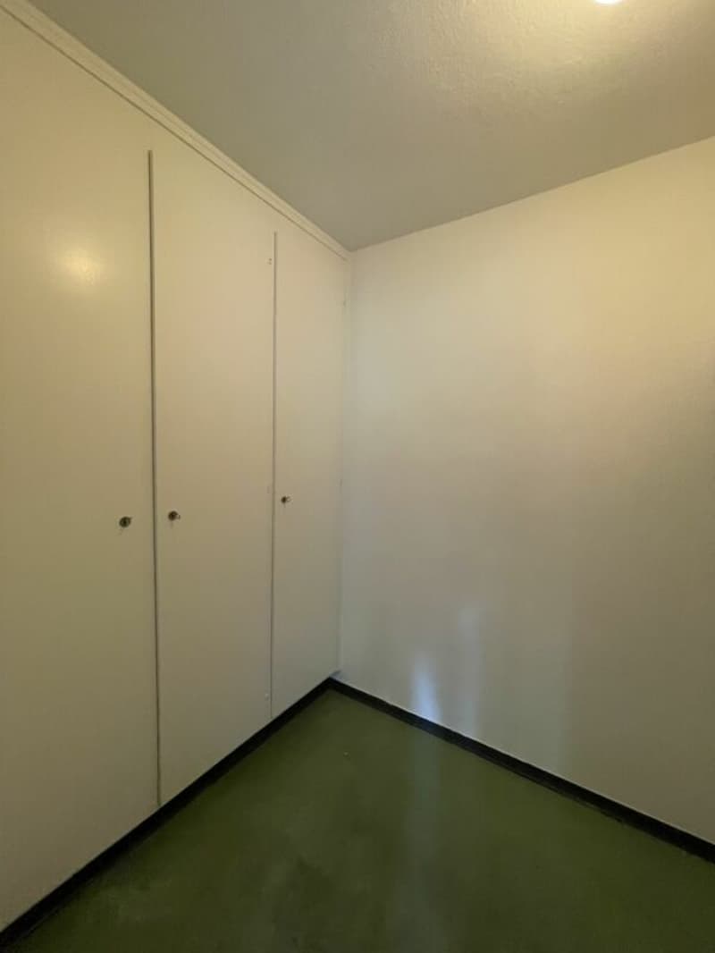 schöne 3.5-Zimmerwohnung im Hochparterre zu vermieten! (8)