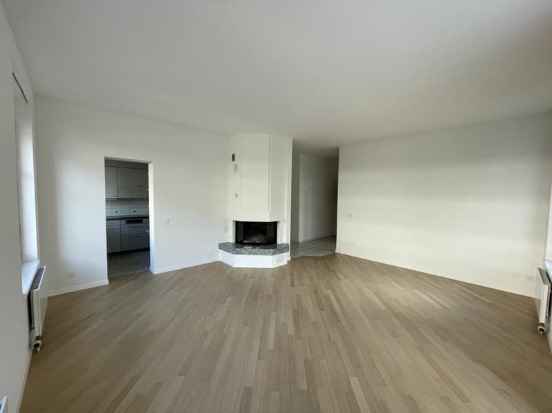 Ampio appartamento di 5 locali a Bern/Eigerplatz in affitto! (6)