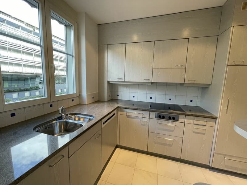 Ampio appartamento di 5 locali a Bern/Eigerplatz in affitto! (1)
