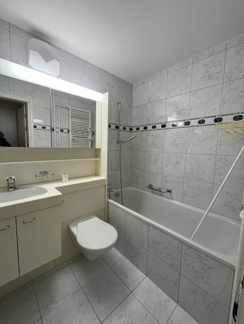 Appartement lumineux de 3,5 pièces au 13e étage avec grand balcon et belle vue ! (3)