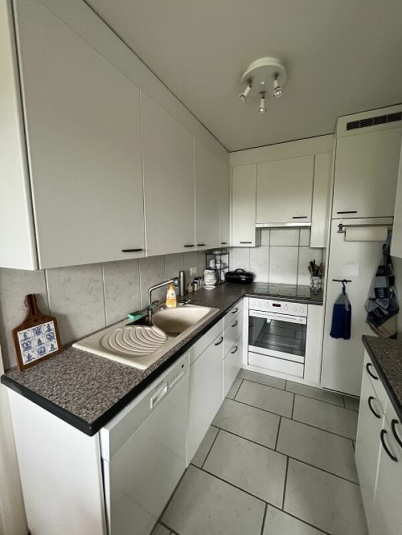 Appartement lumineux de 3,5 pièces au 13e étage avec grand balcon et belle vue ! (1)