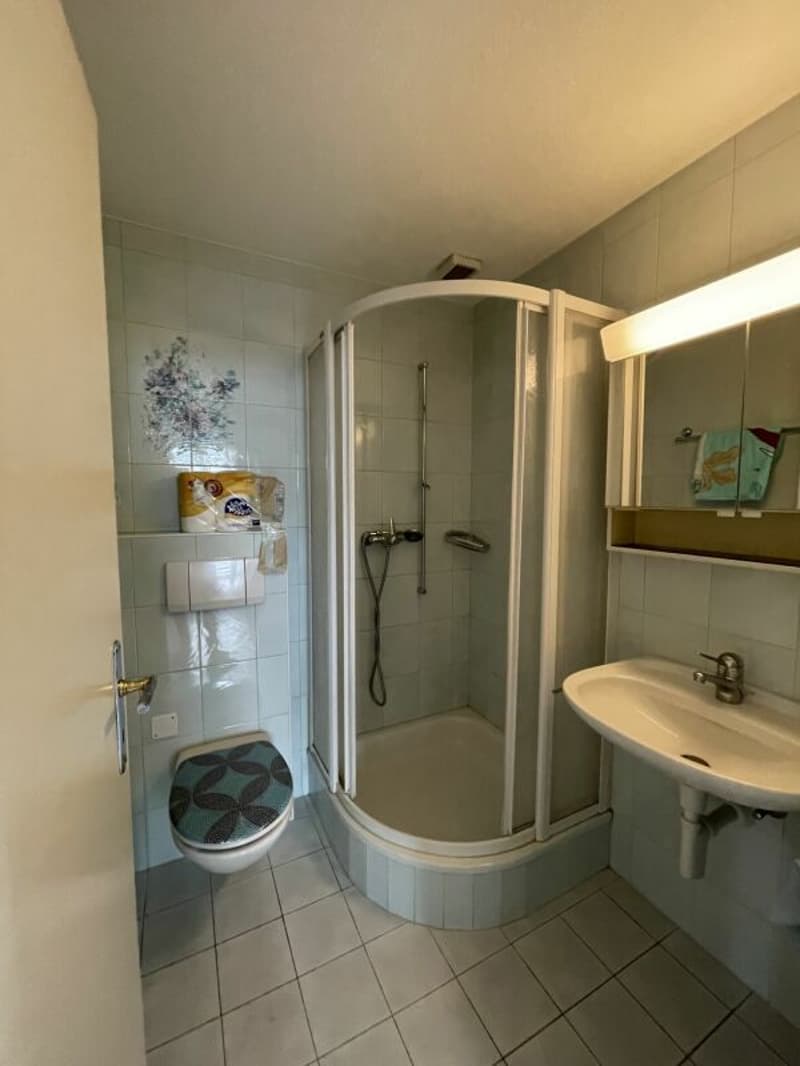 Bern/Eigerplatz - sunny and spacious 5-room apartment for rent! (6)