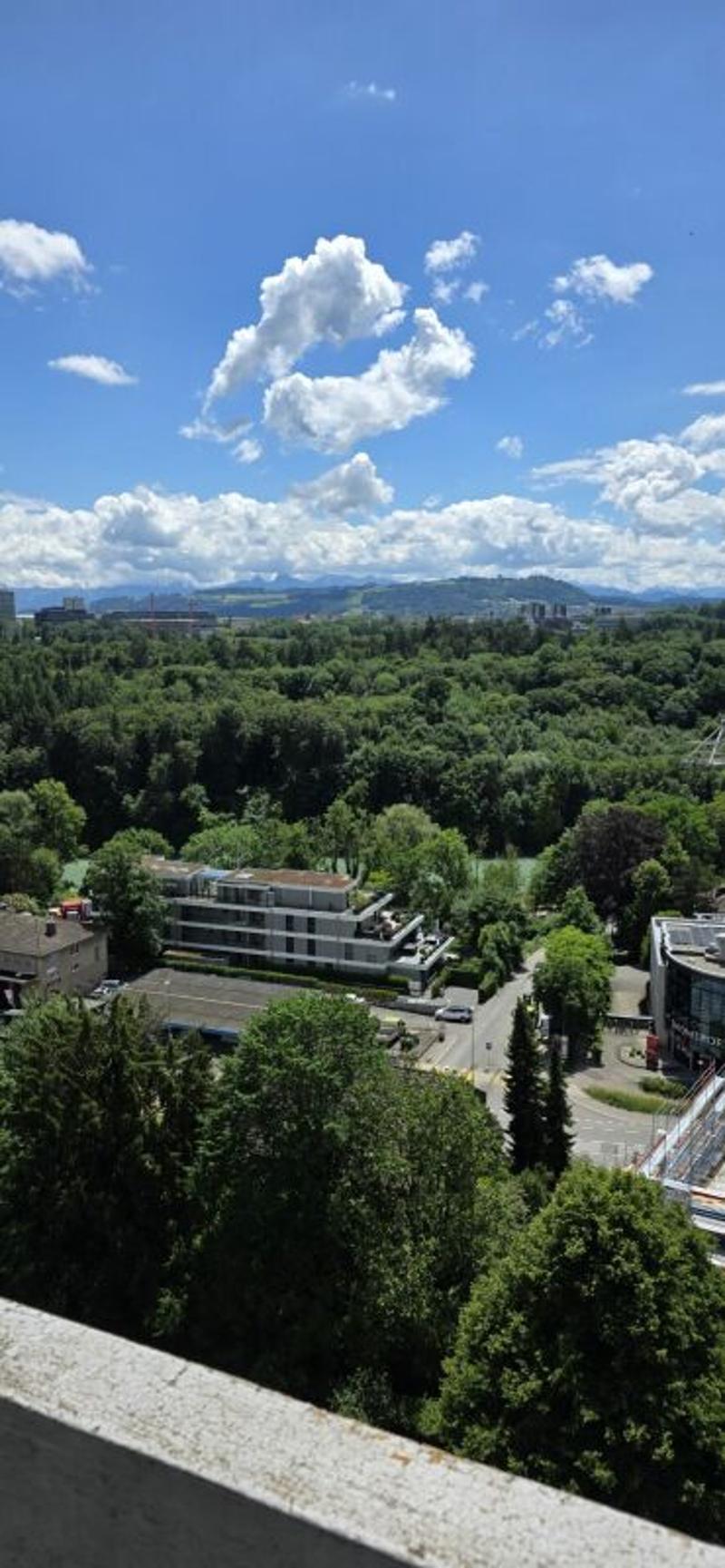 Helle 4.5-Zimmerwohnung im 12. Obergeschoss mit grossem Balkon und schöner Aussicht! (7)