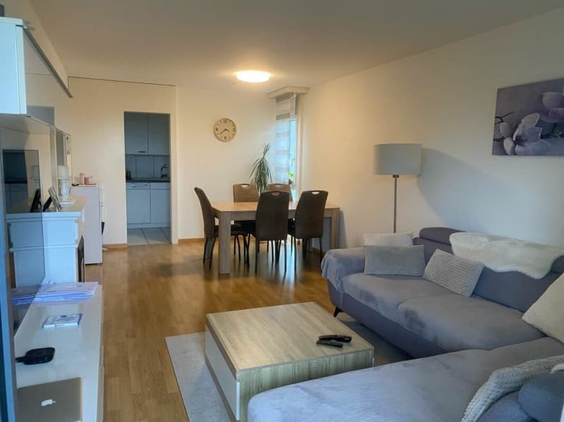 Helle 4.5-Zimmerwohnung im 12. Obergeschoss mit grossem Balkon und schöner Aussicht! (3)