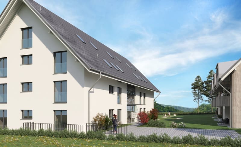 Appartement moderne de 4,5 pièces en étage mansardé avec galerie dans un quartier calme d'Etziken (3)