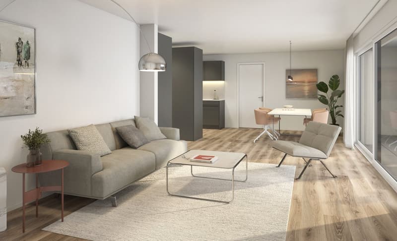 Appartement moderne 3.5 pièces en étage sous combles dans un quartier calme d'Etziken (9)