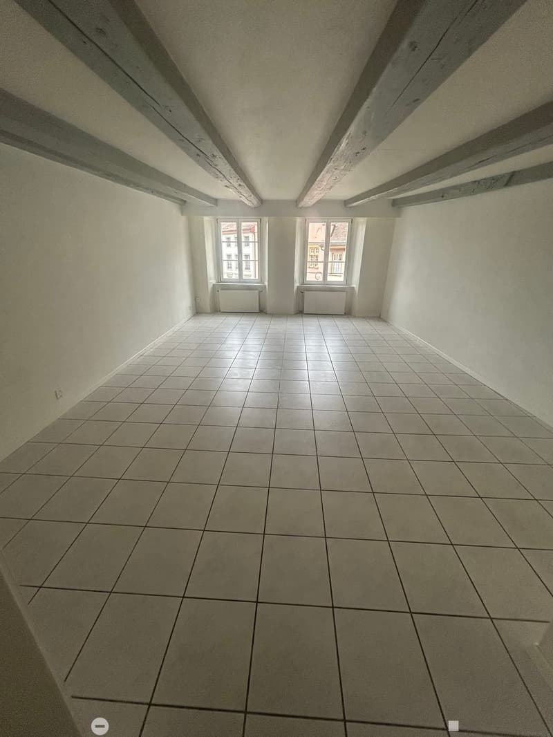 Magnifique 1.5 pièce au coeur de la vieille Ville de Bienne (6)