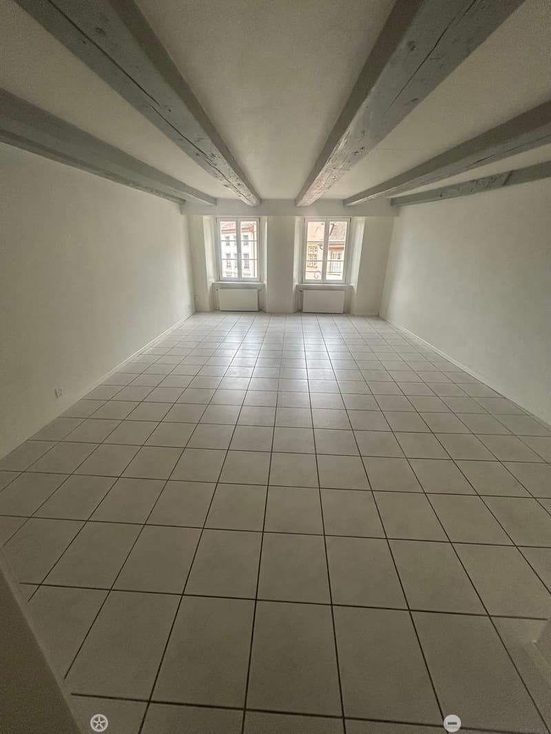 Magnifique 1.5 pièce au coeur de la vieille Ville de Bienne (6)