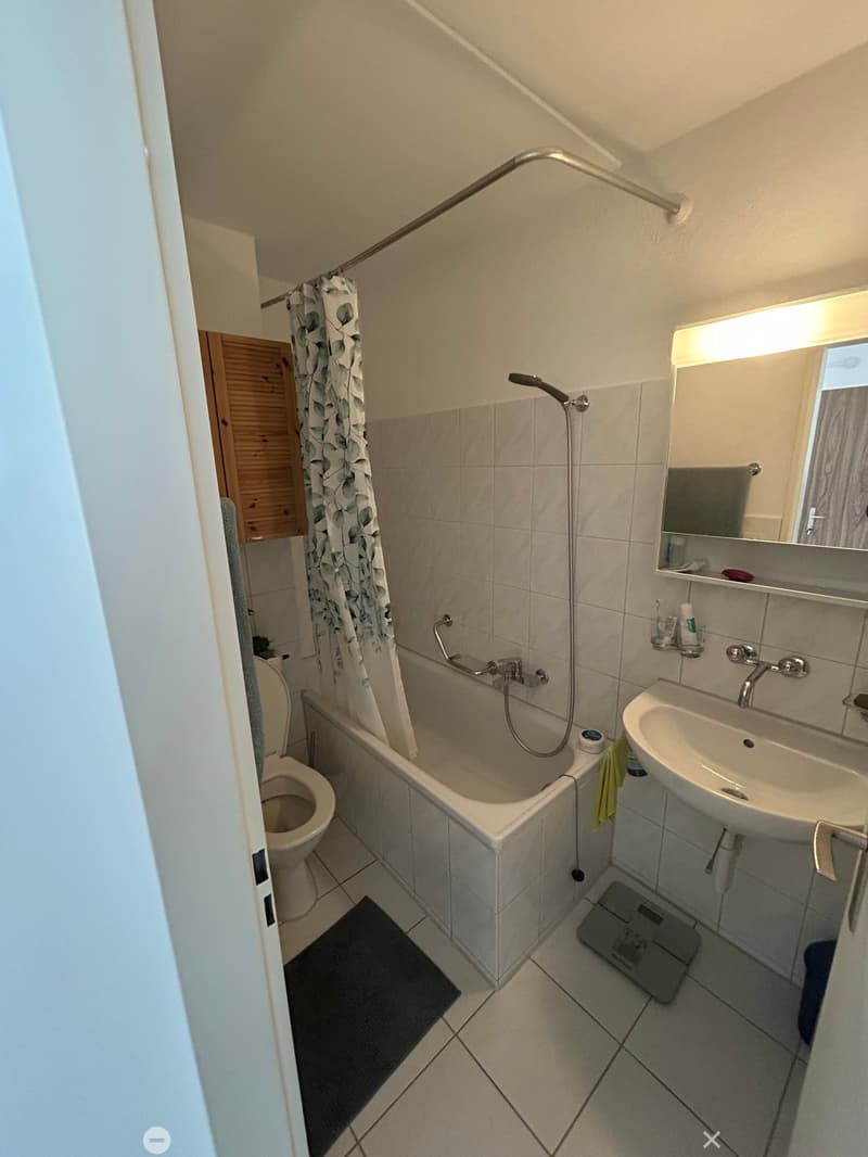 Bathroom with white tiles, bathtub, shower, toilet, sink, mirror, wooden cabinet, towel rack, and a rug.