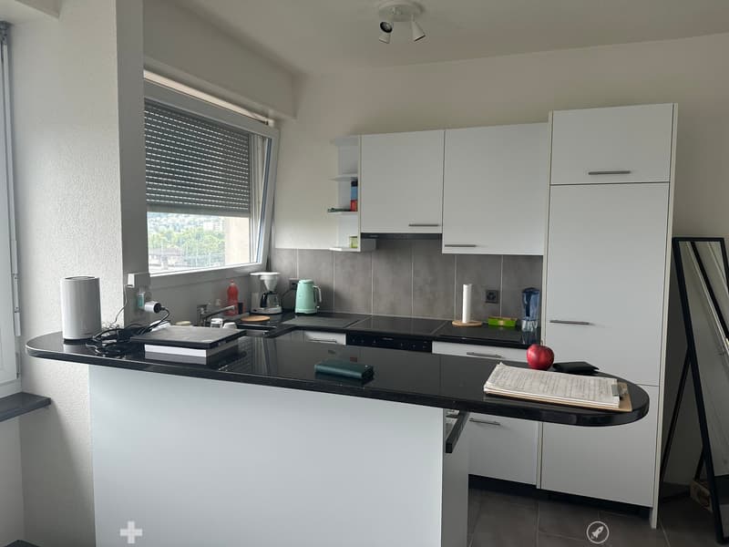 Lumineux appartement de 2 pièces avec balcon au 6e étage – Bienne (4)