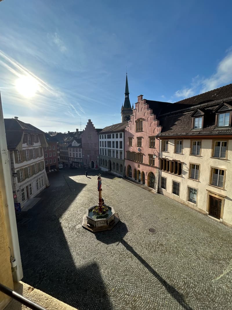 Magnifique 1.5 pièce au coeur de la vieille Ville de Bienne (8)