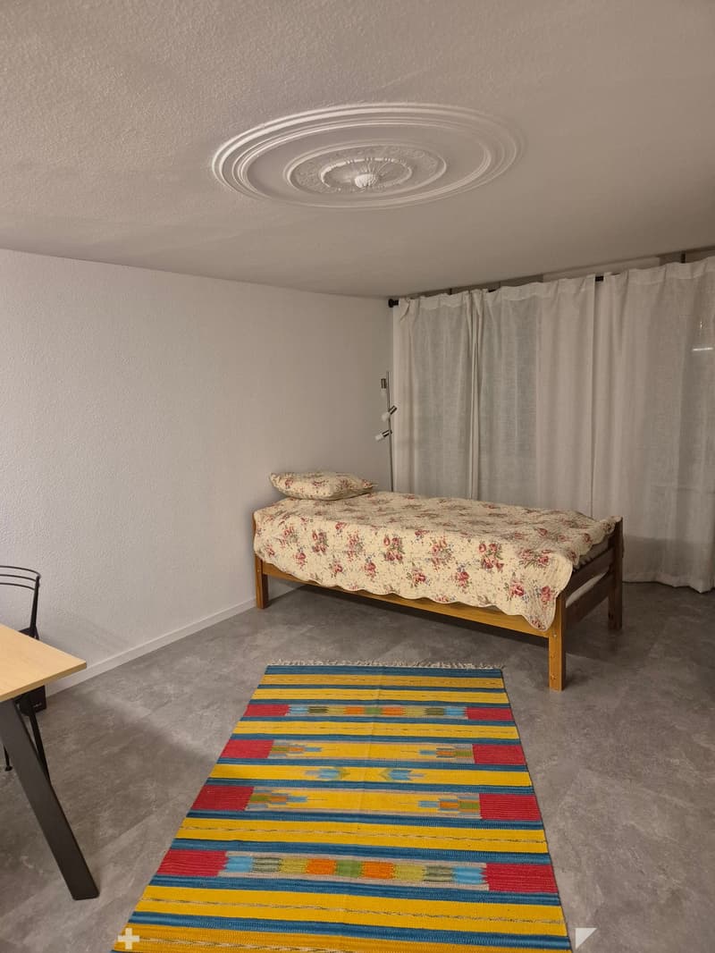 Magnifique 1.5 pièce au coeur de la vieille Ville de Bienne (5)