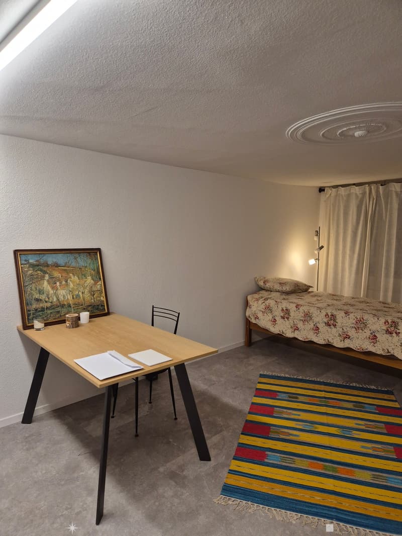 Magnifique 1.5 pièce au coeur de la vieille Ville de Bienne (4)