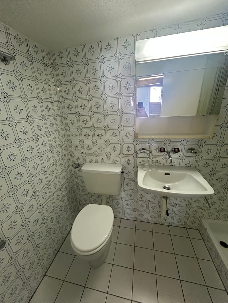 Grand studio au coeur de la vieille ville de Bienne (10)