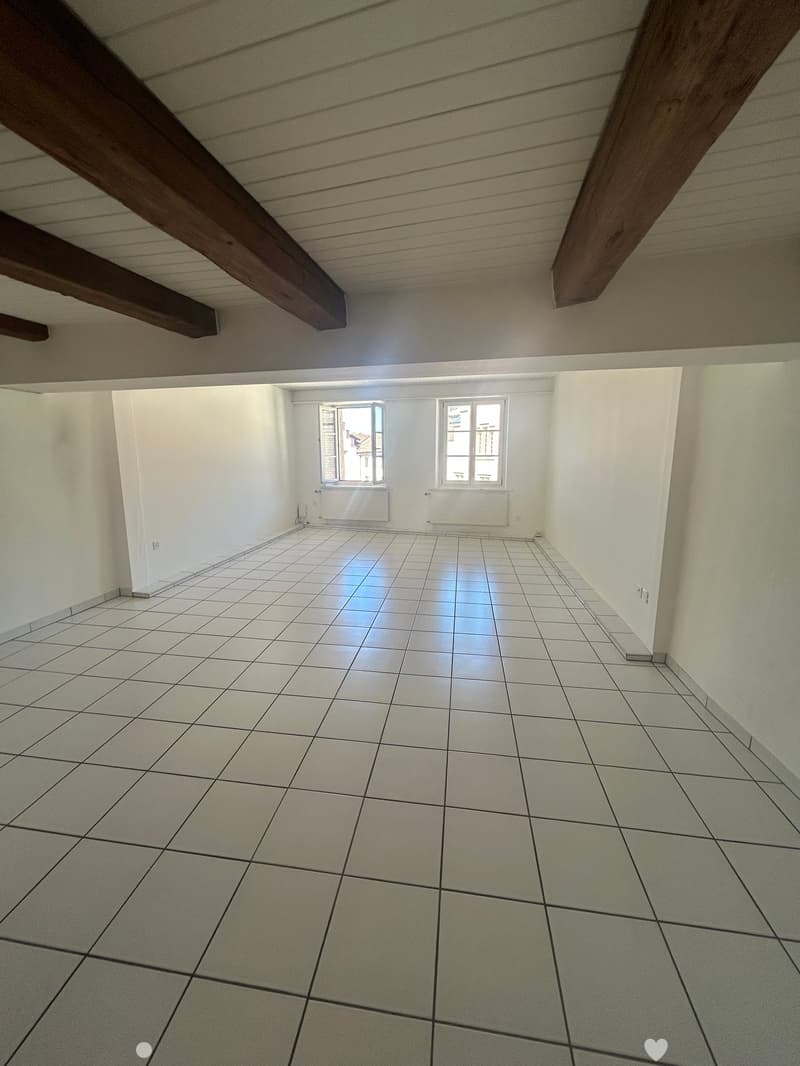 Grand studio au coeur de la vieille ville de Bienne (3)