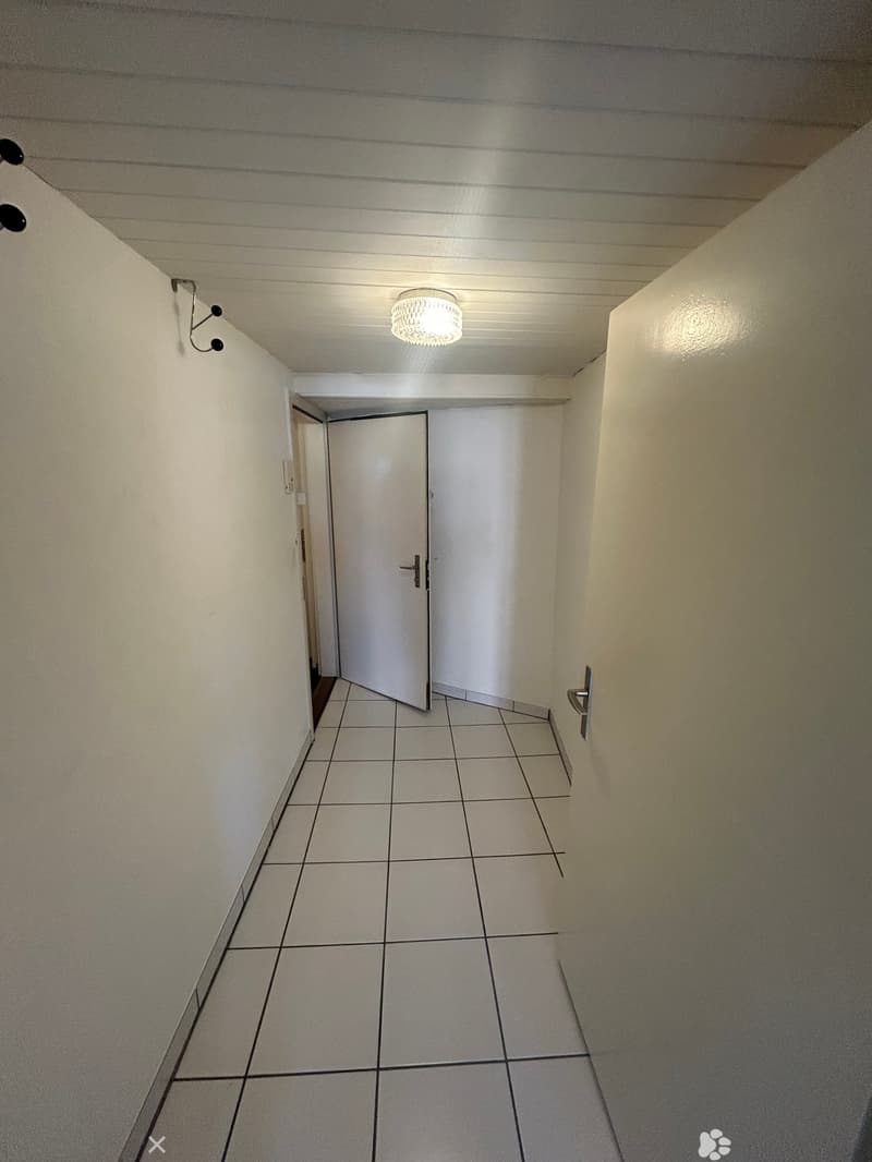 Grand studio au coeur de la vieille ville de Bienne (2)
