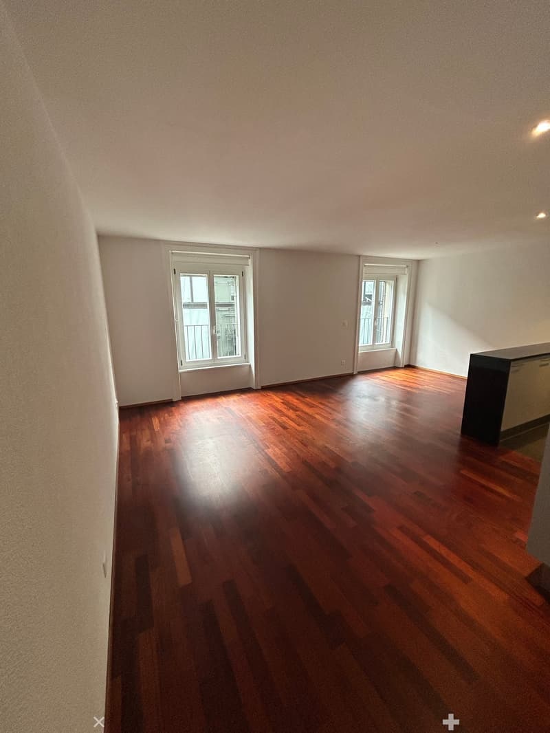Unique appartement au centre de Bienne avec ascenseur dans l'appartement (6)