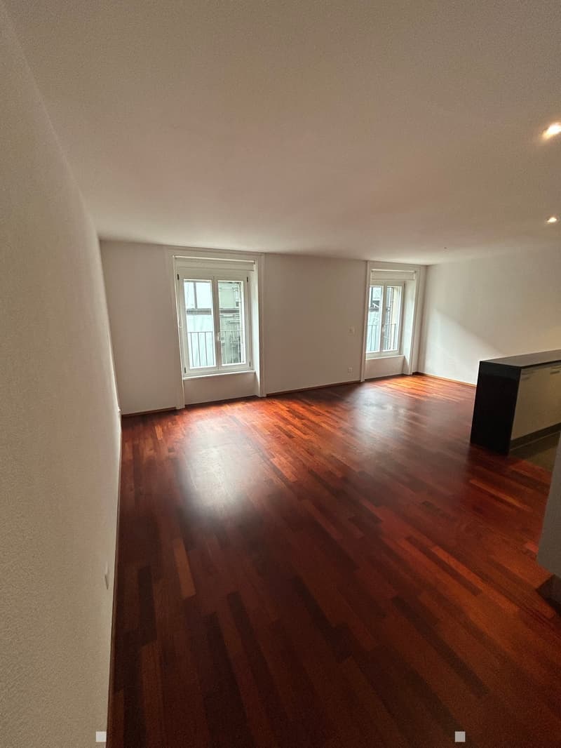 Unique appartement au centre de Bienne avec ascenseur dans l'appartement (6)