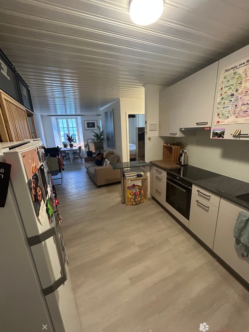 Charmant appartement de 2 pièces rénové dans la vieille ville de Bienne (2)