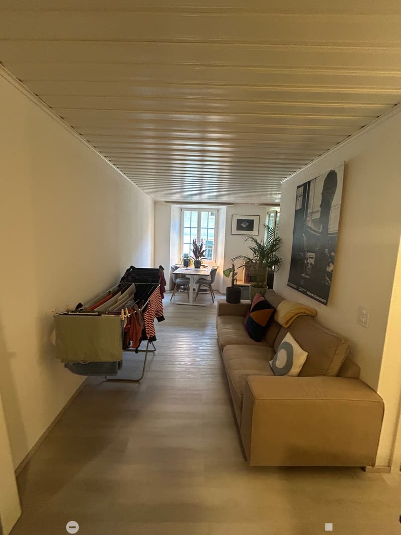 Charmant appartement de 2 pièces rénové dans la vieille ville de Bienne (5)