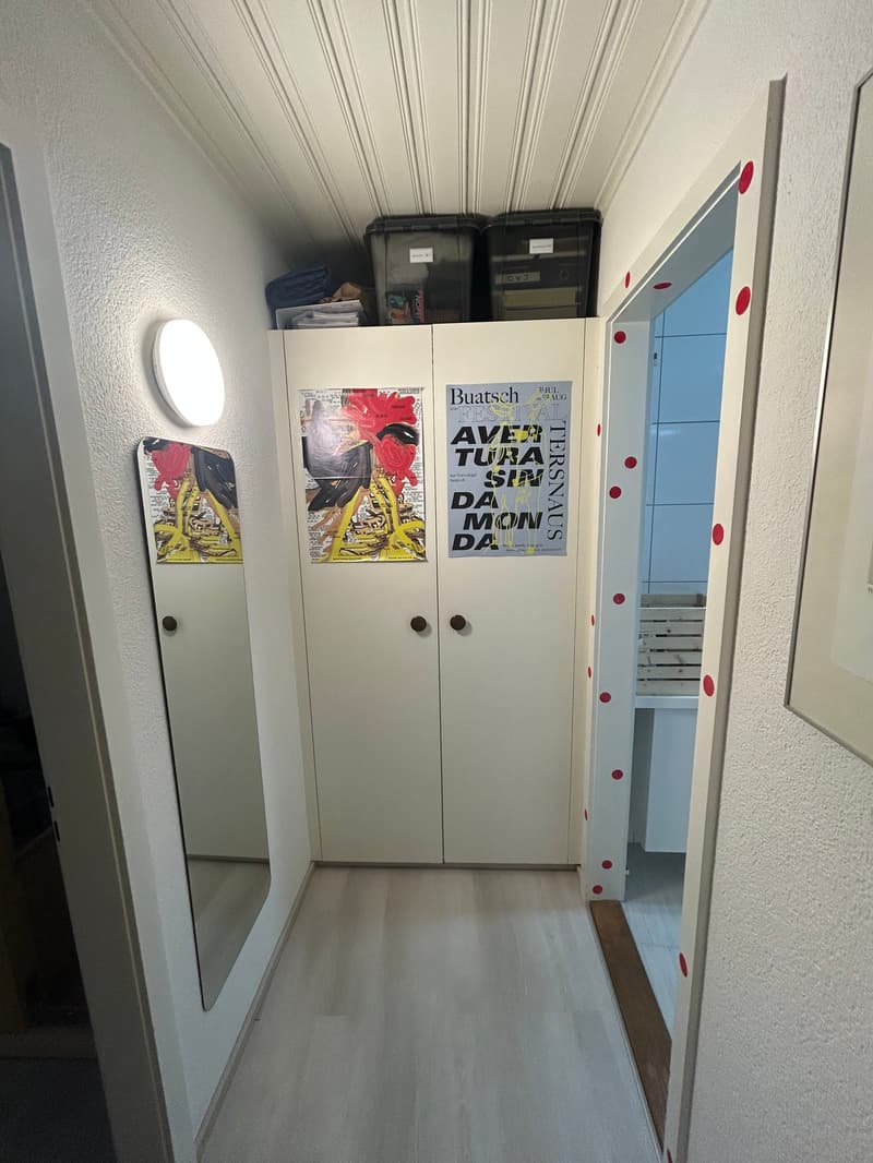 Charmant appartement de 2 pièces rénové dans la vieille ville de Bienne (11)