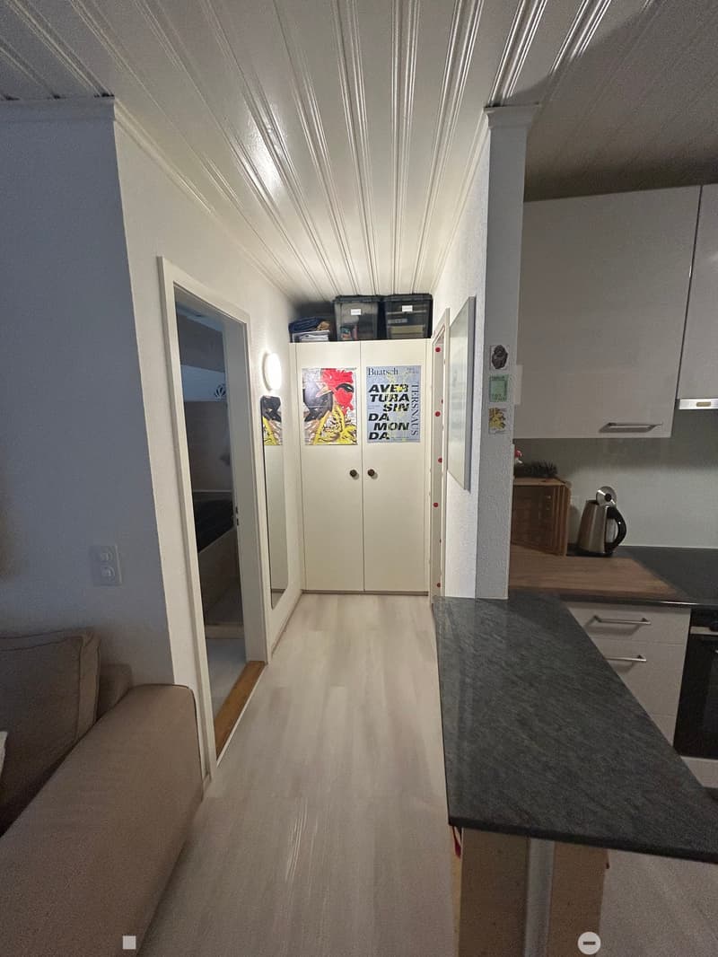 Charmant appartement de 2 pièces rénové dans la vieille ville de Bienne (6)