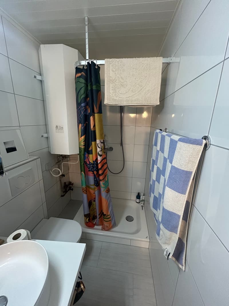 Charmant appartement de 2 pièces rénové dans la vieille ville de Bienne (13)