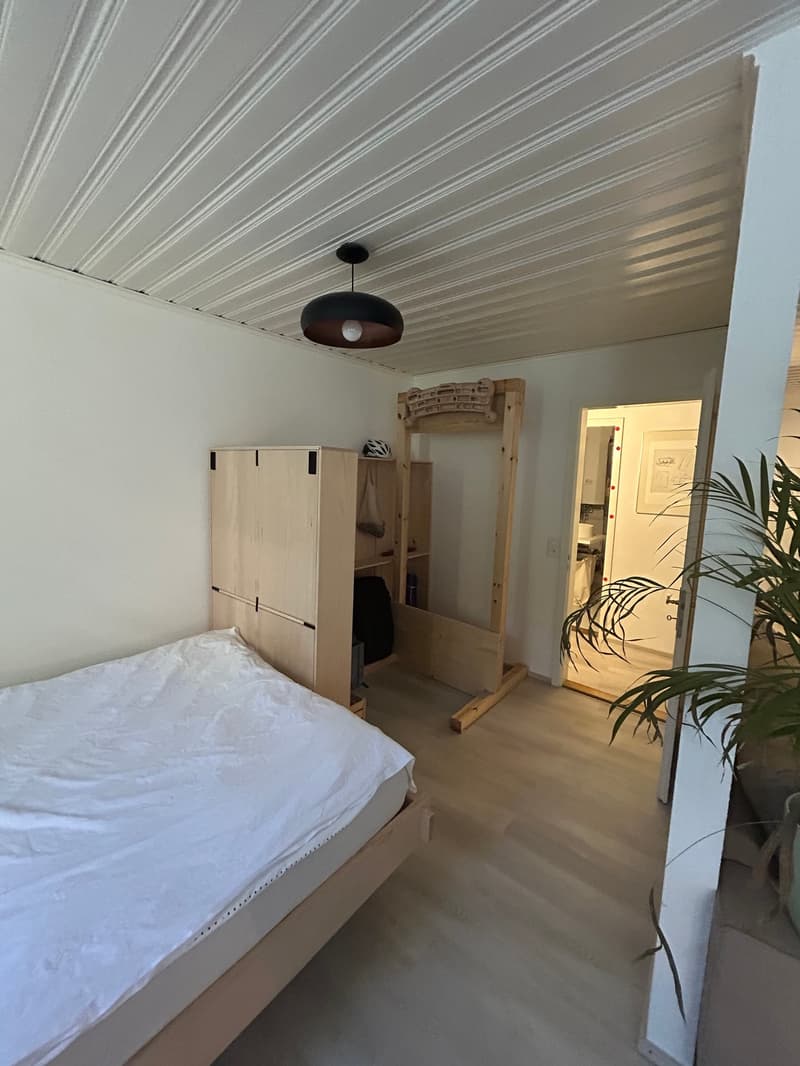 Charmant appartement de 2 pièces rénové dans la vieille ville de Bienne (9)