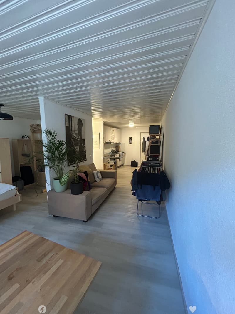 Charmant appartement de 2 pièces rénové dans la vieille ville de Bienne (7)