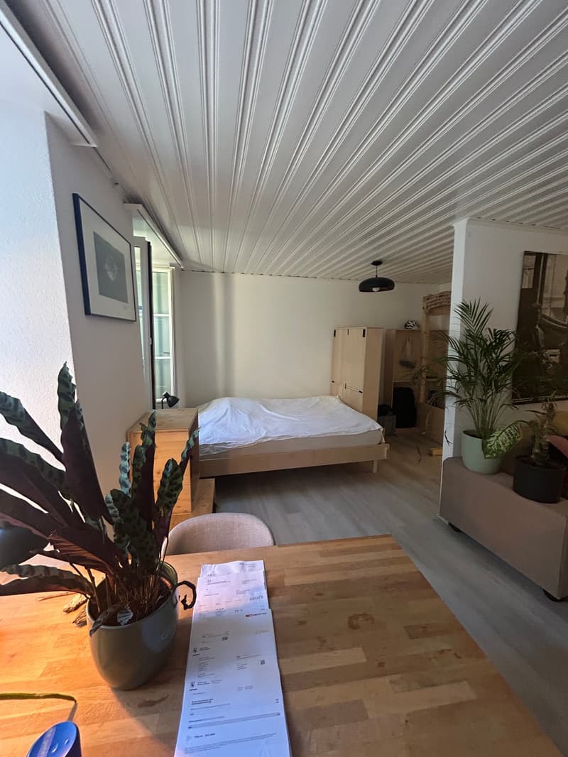 Charmant appartement de 2 pièces rénové dans la vieille ville de Bienne (8)