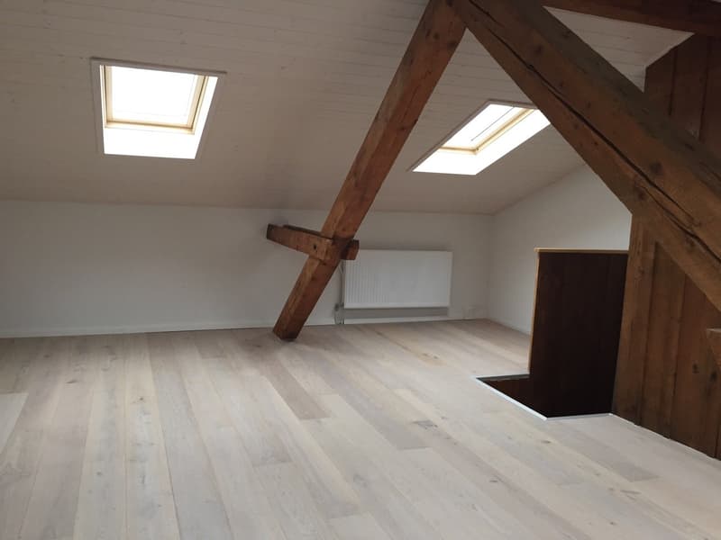 Lumineux appartement de 4 pièces - Helle 4-Zimmer-Wohnung (15)