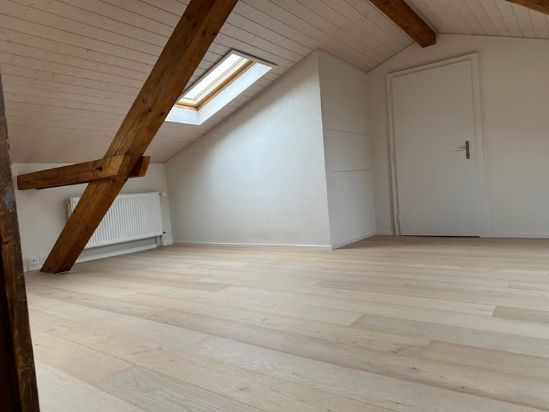 Lumineux appartement de 4 pièces - Helle 4-Zimmer-Wohnung (14)