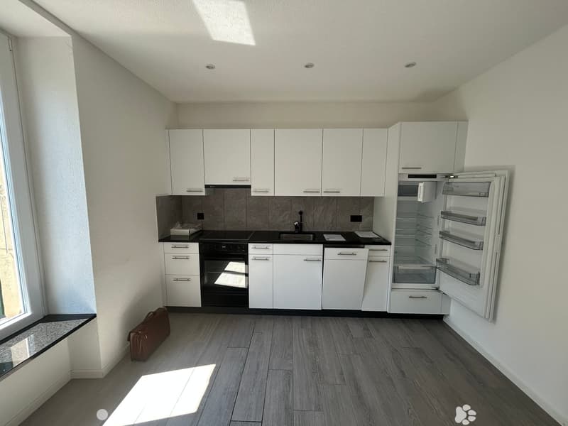 Charmant appartement de 1,5 pièce au cœur de Bienne (3)