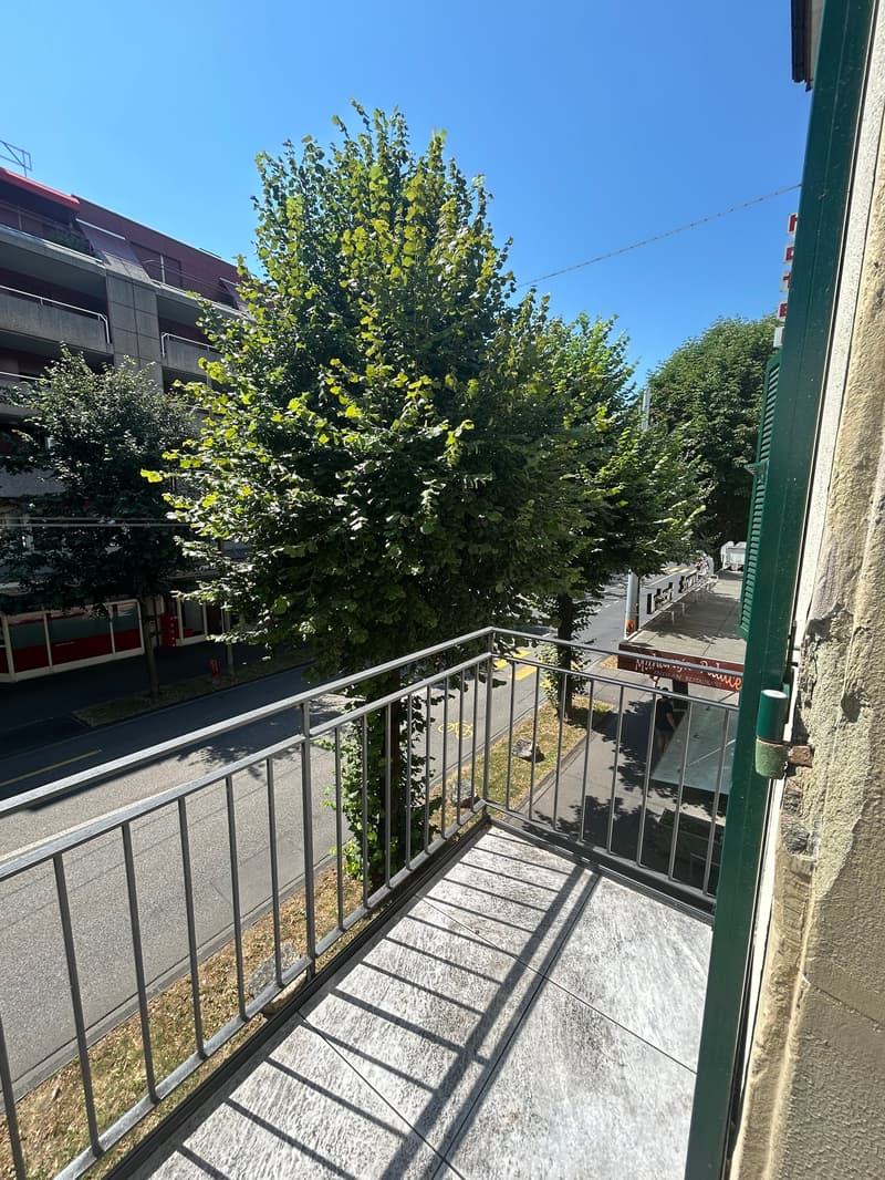 Charmant appartement de 1,5 pièce au cœur de Bienne (11)