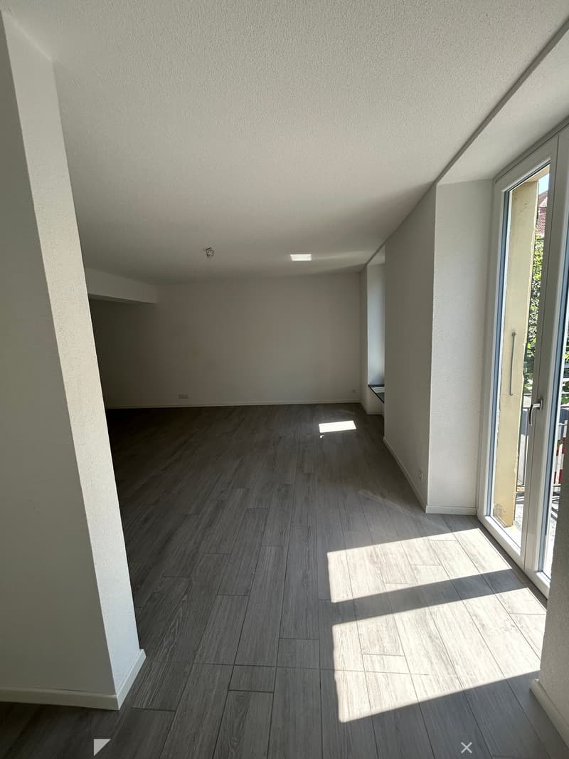 Charmant appartement de 1,5 pièce au cœur de Bienne (4)